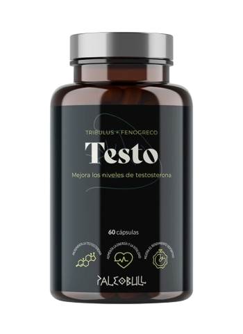 Testo 